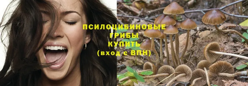 где купить наркоту  Серпухов  Псилоцибиновые грибы Psilocybine cubensis 